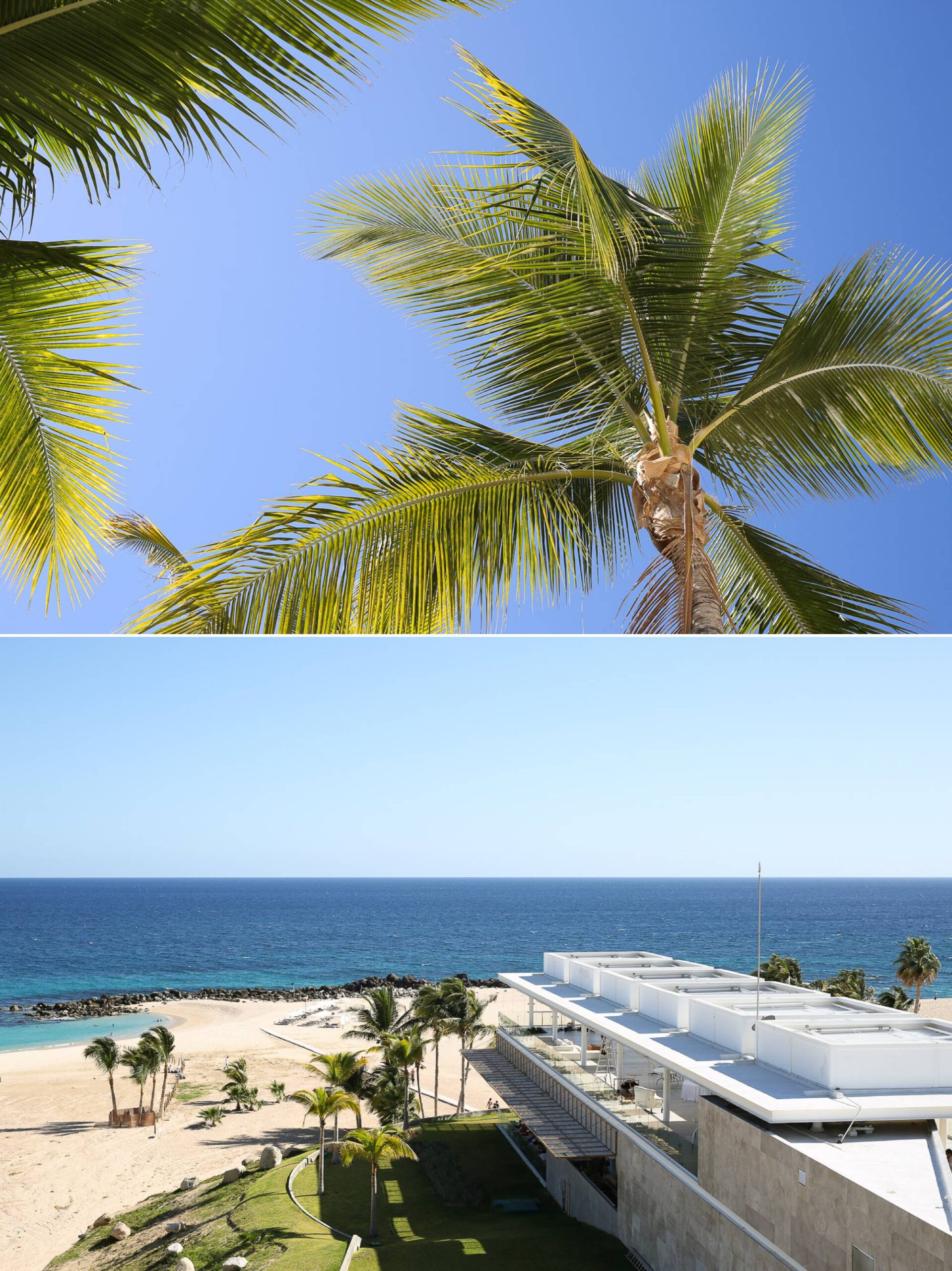 Palm trees, Ocean and reception hall, Paradisus Los Cabos