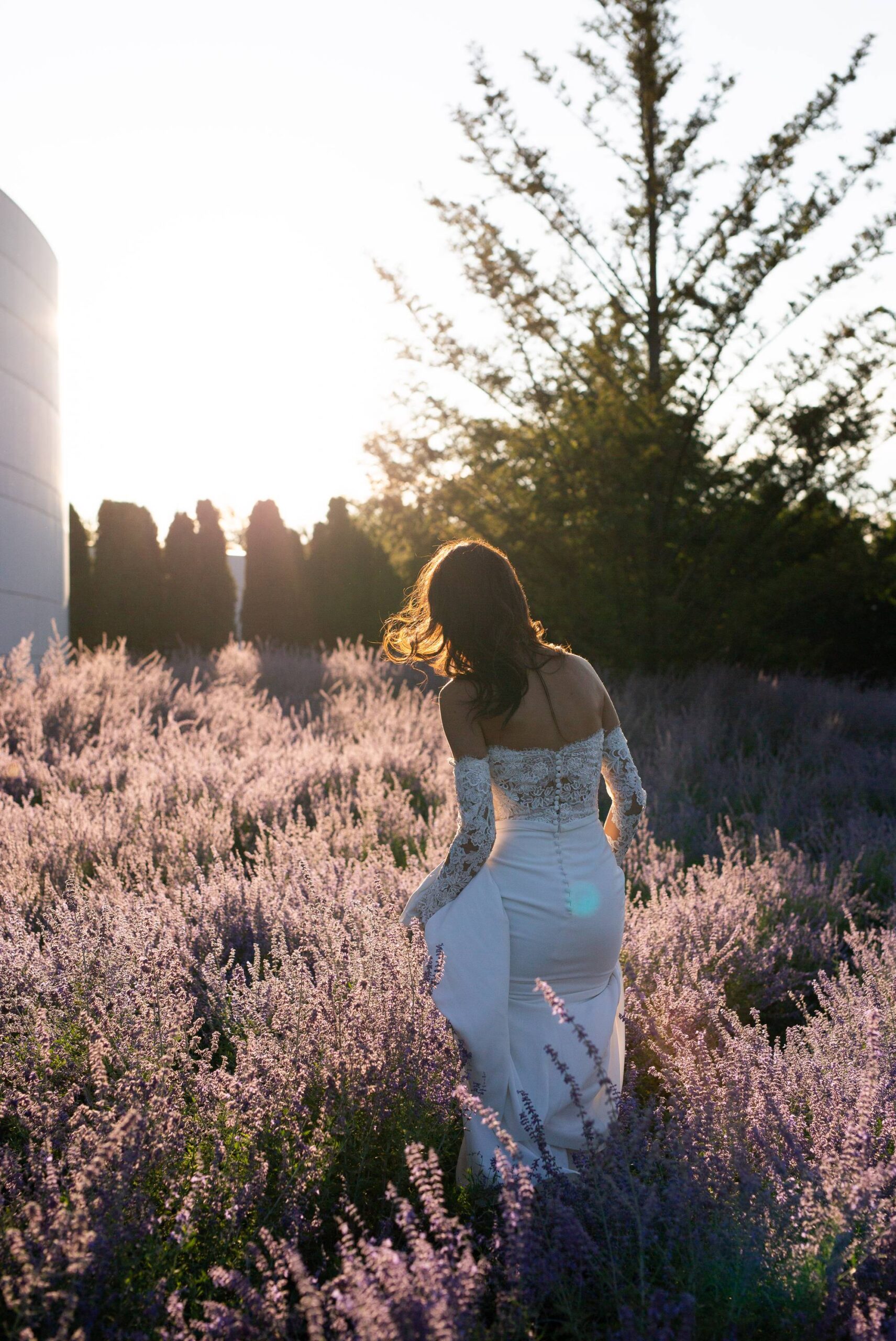 Lavender Field, Sunset Bride, Aga Khan Museum, Toronto