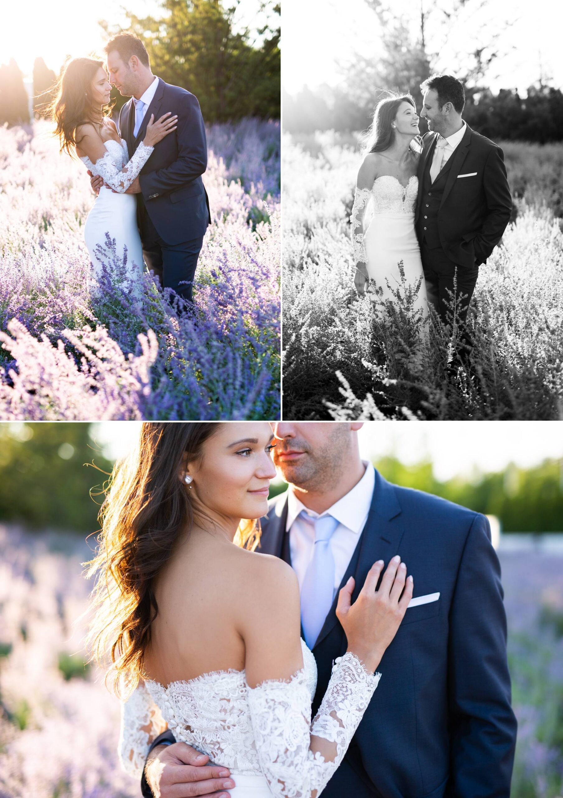 Lavender Field, Magic Hour, Couple Kisses